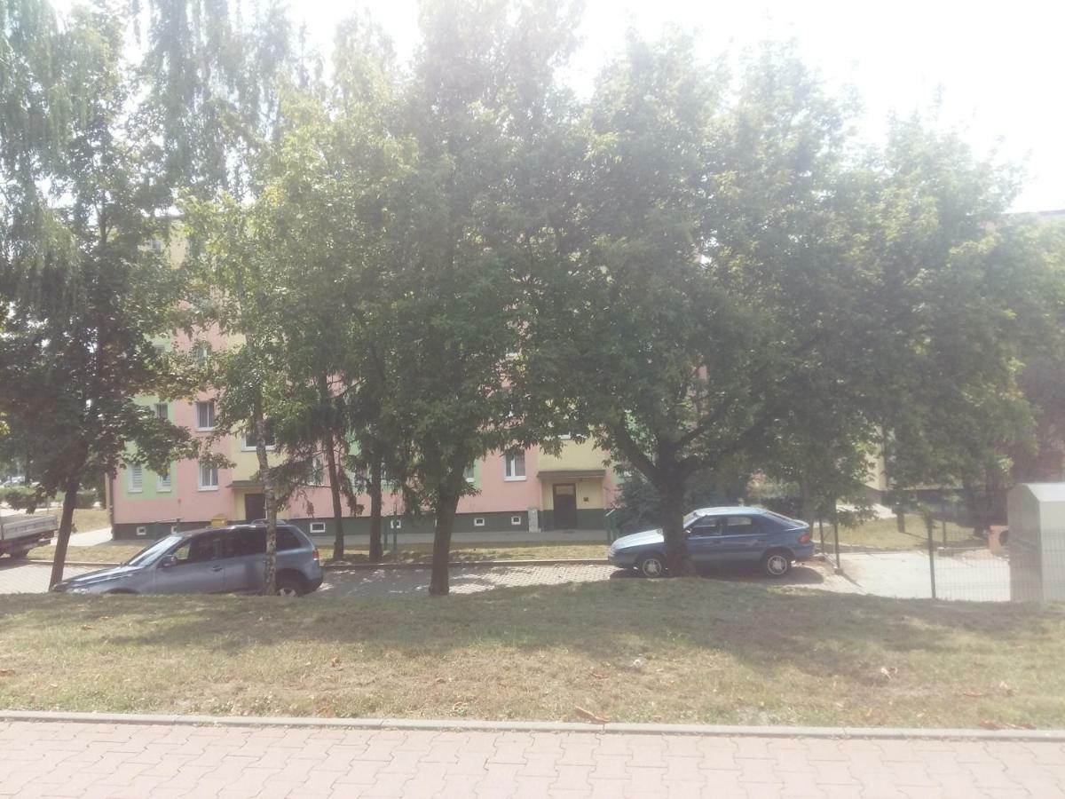 Apartament Czwarte Pietro Свеце Экстерьер фото